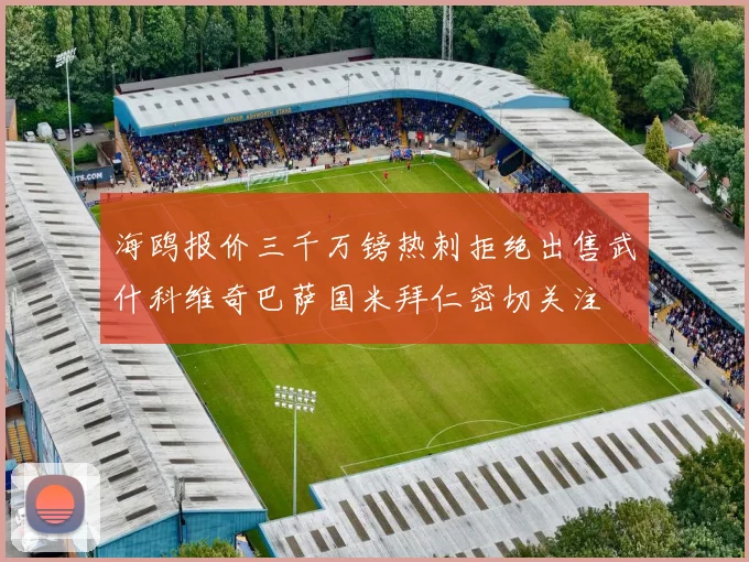 海鸥报价三千万镑热刺拒绝出售武什科维奇巴萨国米拜仁密切关注