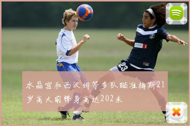 水晶宫和西汉姆等多队瞄准梅斯21岁高大前锋身高达202米